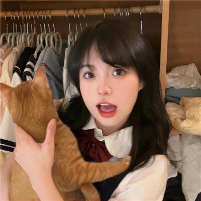 黄叶舞青风