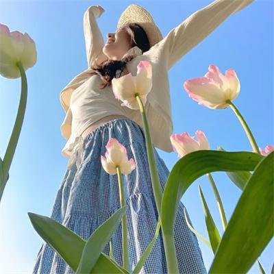 石纪元第四季
